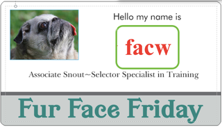 Illustration for article titled New Snout Selectors!